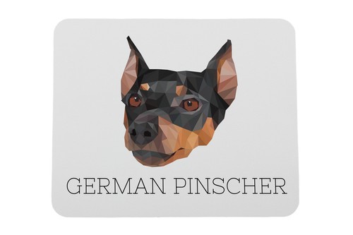 Pinscher tedesco