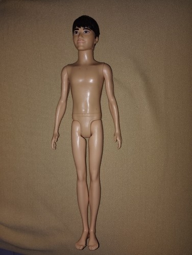 Barbie ken fashionistas - barbie,