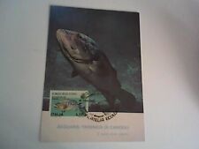 CARTOLINA ACQUARIO TIRRENICO DI CAMOGLI GENOVA PESCE CERNIA PESCATA ACQUE LOCALI