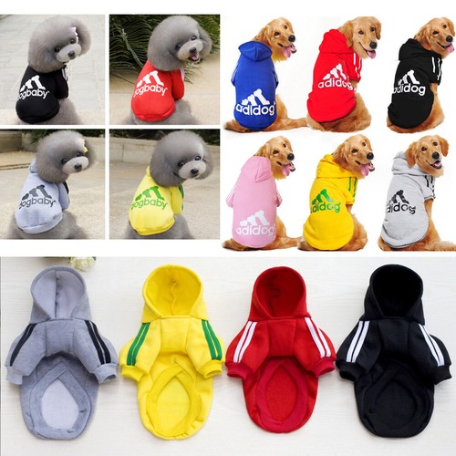 Adidog animale domestico cane