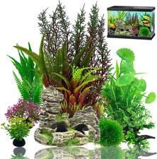Piante Decorative per