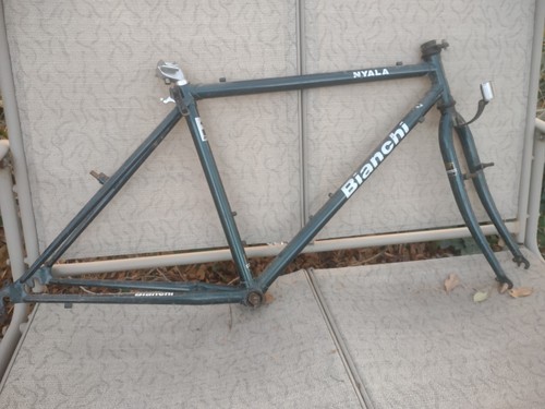 Bianchi nyala campione del - campione,