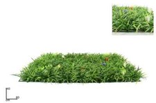 MATTONELLA PRATO INGLESE 40X60