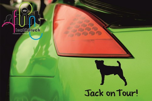 615 jack russel terrier on - jack,