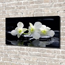 Quadro tela stampa - quadro, su