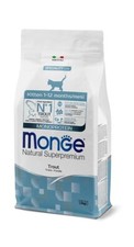Monge Natural Kitten