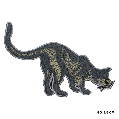 Cat bob grey patch - cat, on