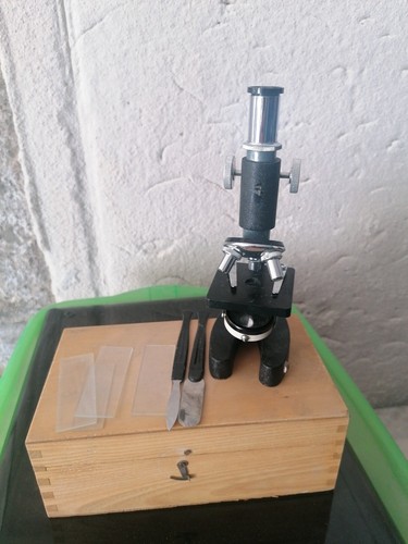 Microscopio wood box vintage - wood,