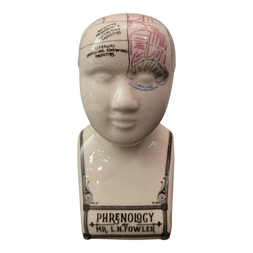 Testa frenologia statuina - testa, da