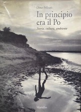 Dino Felisati, In principio
