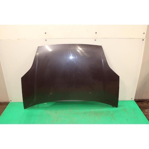Cofano ant ford - ant., fiesta