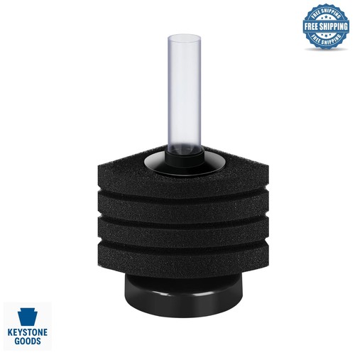 Filtro angolare spugna - filtro,