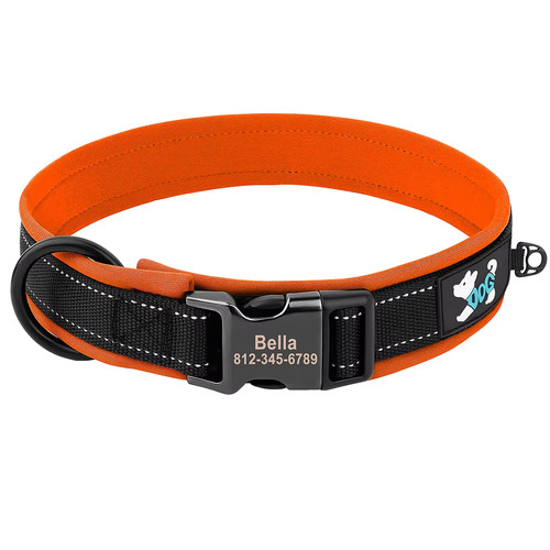 Collare per cani riflettente - cani,