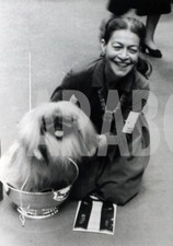 Foto vintage Al Madison Square Garden il pechinese vince il trofeo, 18x13 cm