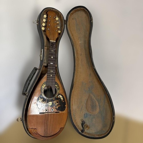 Suzuki mandolino 204 con - suzuki,