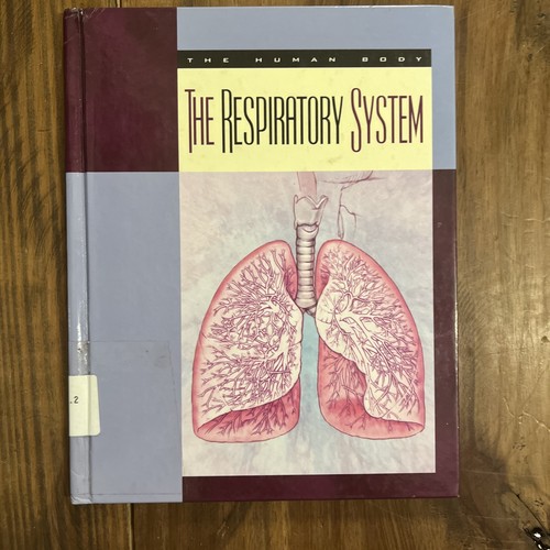 The respiratory system - the,