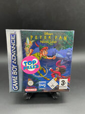 Disney's Peter Pan Return to