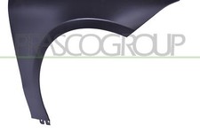 Parafango anteriore destro