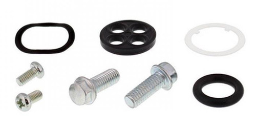 1100 kit revisione - kit,