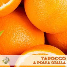 Arancia Tarocco a polpa gialla