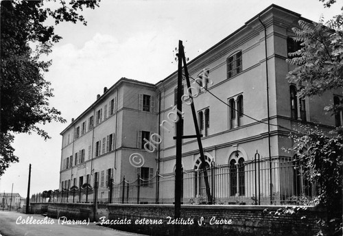 Cartolina collecchio - -,