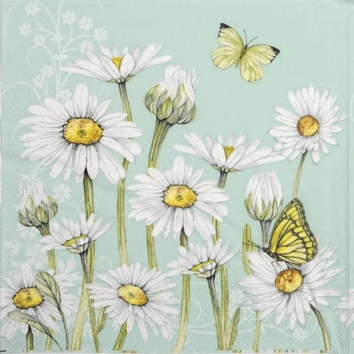 Single paper napkins - 4x, for