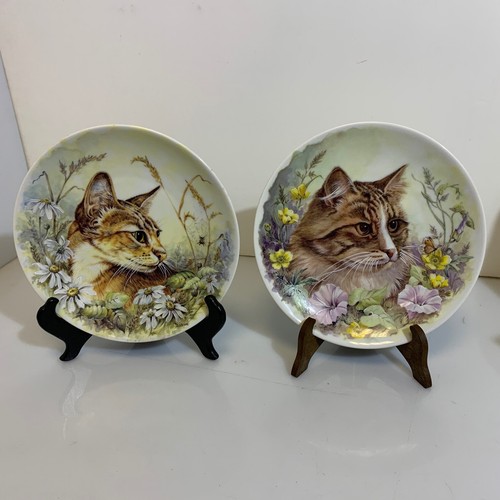 Coppia piatti ceramica - piatti,