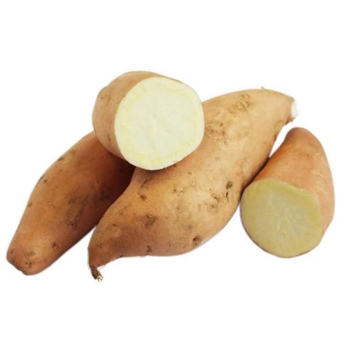 Hannah white semi bio patate - white,