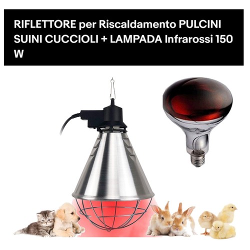 Riflettore lampada - riflettore, +