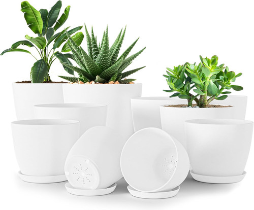 Utopia home vasi per - home, da