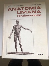 Anatomia Umana Fondamentale