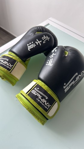 Guantoni boxe bambino - 🥊,