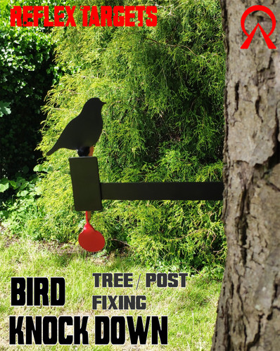 Bird tree knock down target - bird,