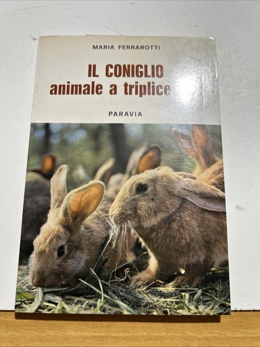 Als il coniglio - als-53:,