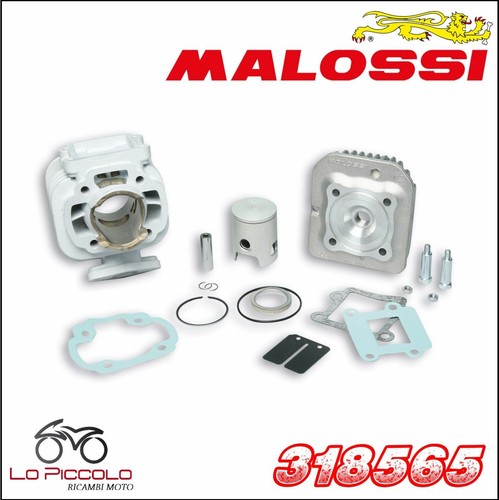 318565 malossi gruppo termico - 318565,