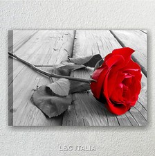 Rosa Rossa 5 - Quadro Moderno