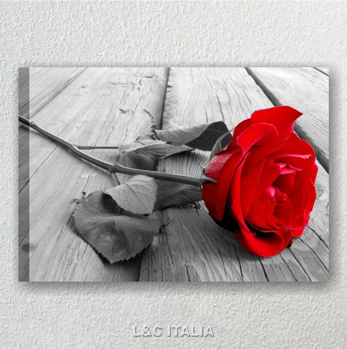 Rosa rossa quadro moderno - quadro,
