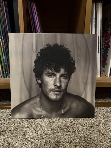 Shawn mendes vinyl lp - shawn,