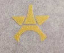 Patch Flocage Étoile Paris