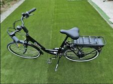 bici elettrica professionale