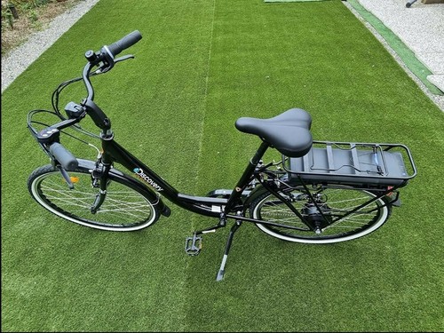 Bici elettrica professionale - bici,