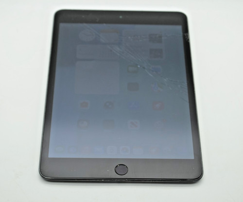 Apple ipad mini - apple,