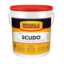 Pittura Murale al quarzo