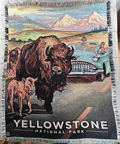 Yellowstone parco nazionale - parco,