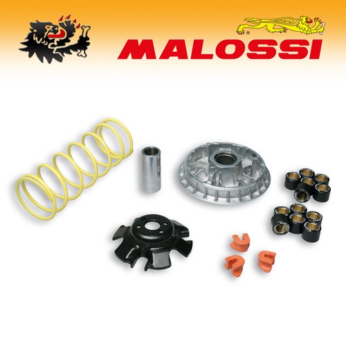 5113892 malossi variatore - [malossi],