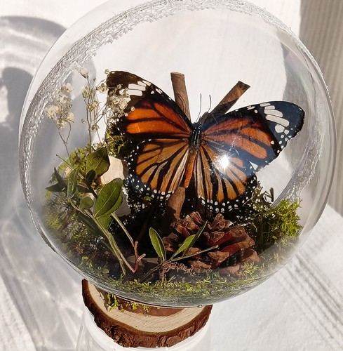 Sfera diorama con vera - sfera,