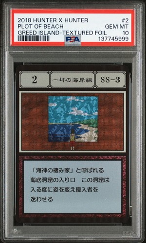Psa10 one tsubo coastline - ss-3,