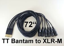 6 NUOVI 72" Oro TT BANTAM a XLR-M Nero Maschio Patch Cavi 6 Piedi Quad Core