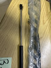 Pistone Posteriore Origin