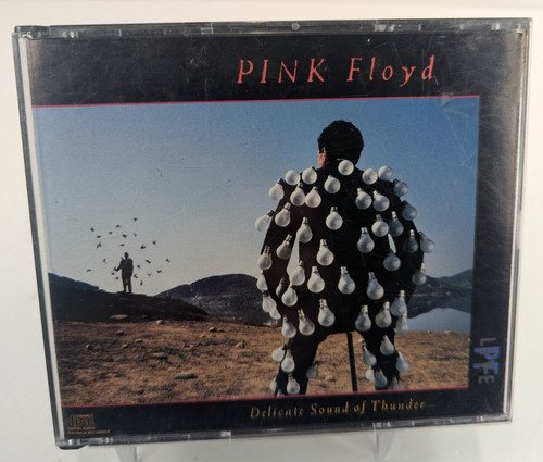Pink floyd delicate sound - pink, of